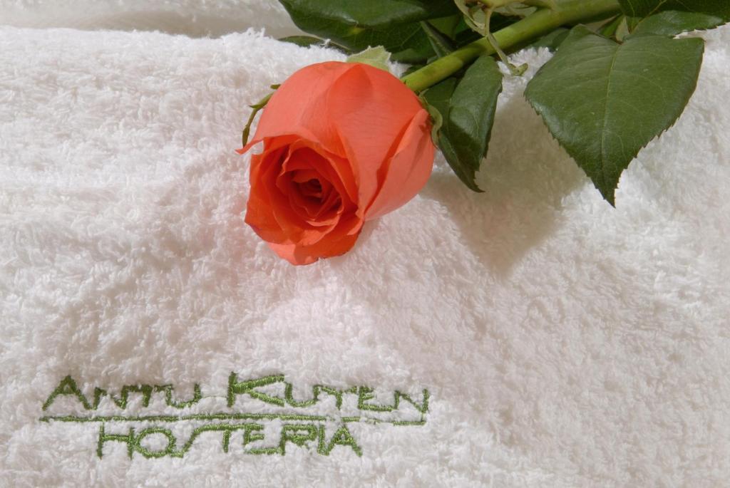 Antu Kuyen Hotel